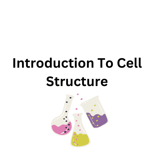 Introduction To Cell Structure